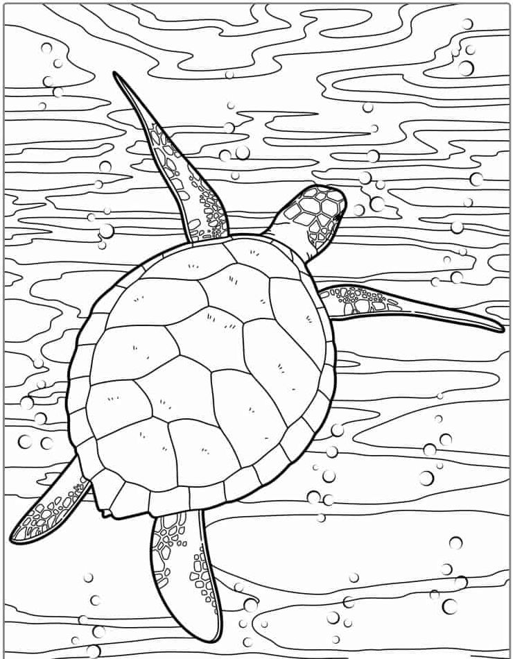 schildpad-mooi-kleurplaten-kawaii-schattig.jpg