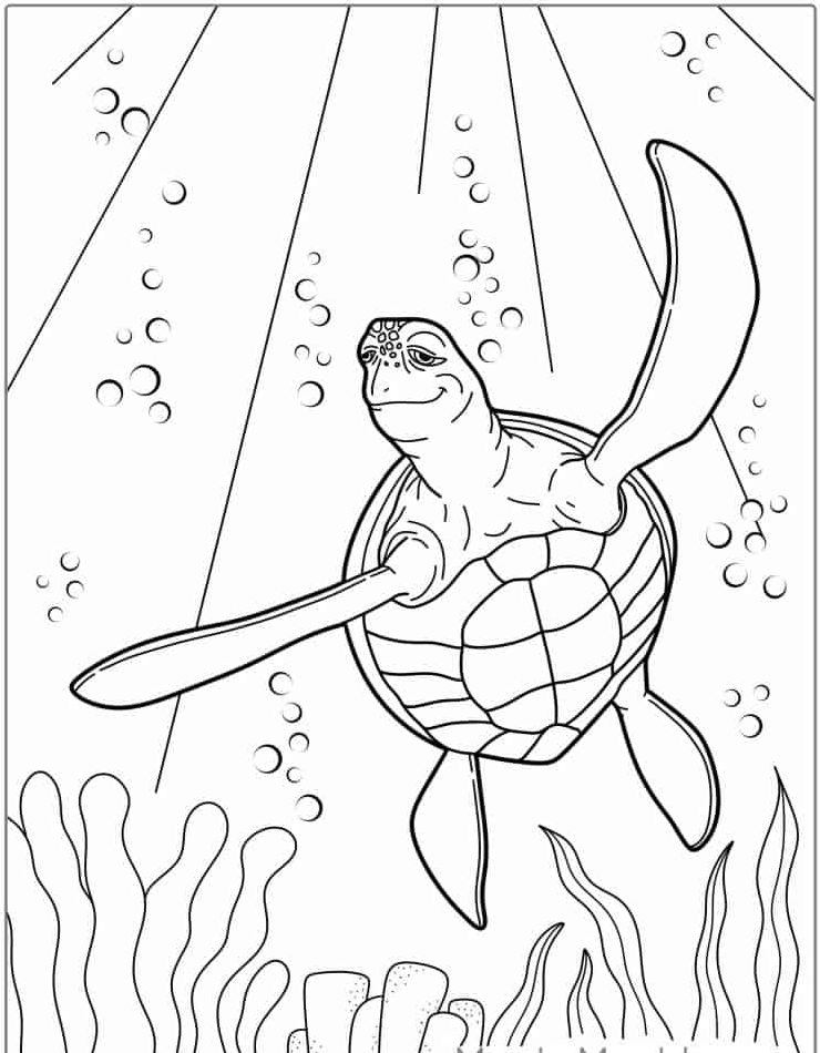 schildpad-mooi-kleurplaten-schattig-kawaii-afdrukken.jpg