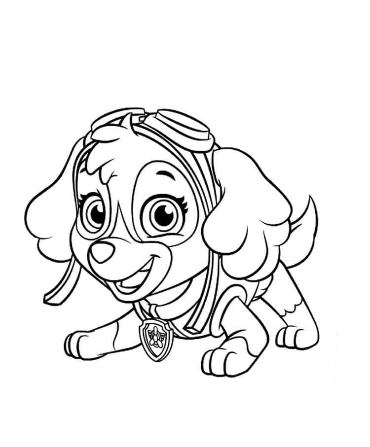 skye-kleurplaat-mooi-kawaii-gratis.jpg